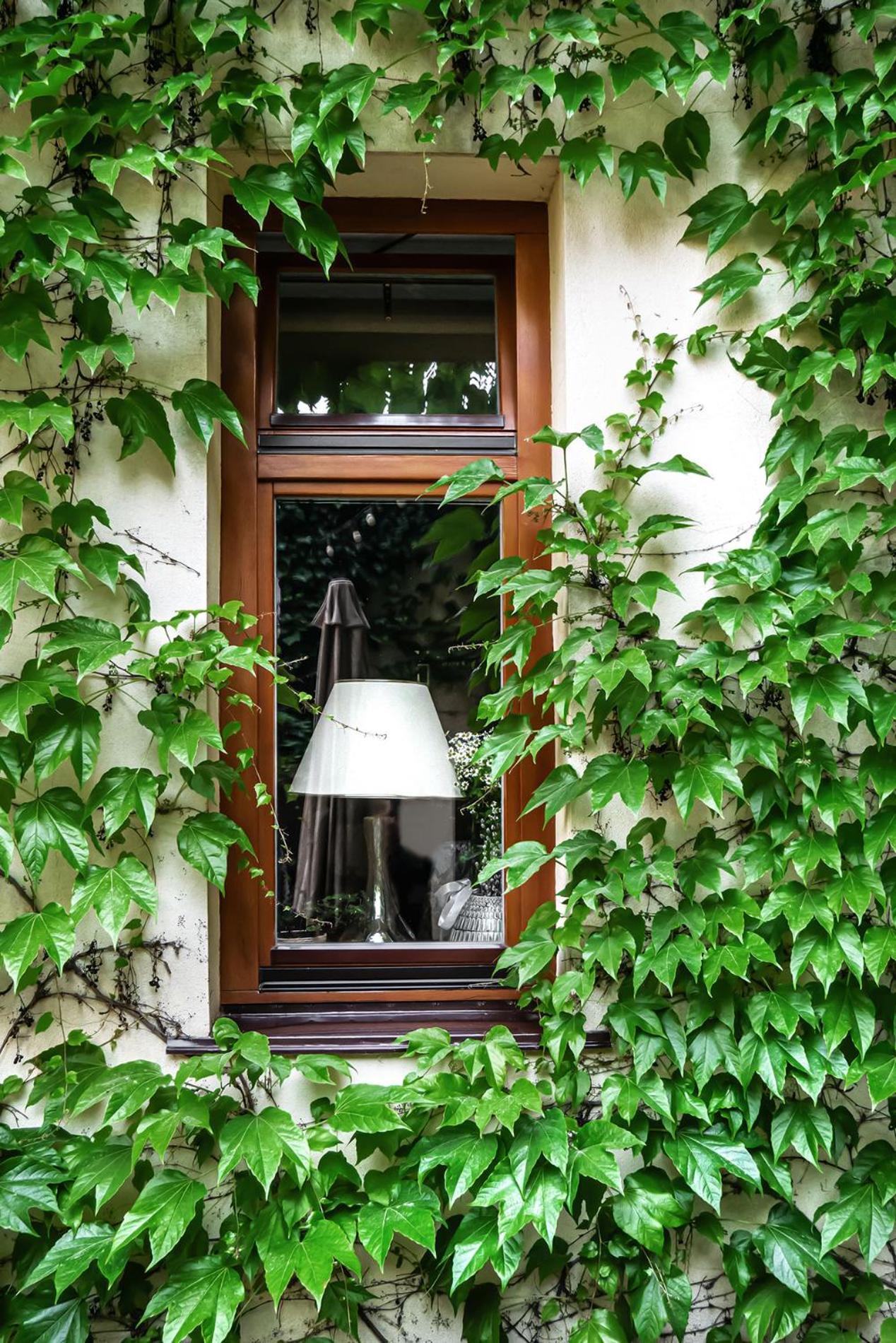 Shato Luxe Oldenburg Bagian luar foto